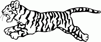 Dibujos De Tigres Para Colorear