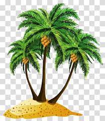 Coconut Tree Illustration Beach Tree Palm Tree Transparent Background Png Clipart Tree Illustration Palm Tree Sticker Transparent Background You can download free palm tree png images with transparent backgrounds from the largest collection on pngtree.