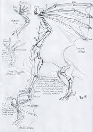 Uniquement invocable spécialement par son propre effet. Tutorial On Dragon Wings By Wlker Wolf On Deviantart