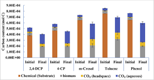 Clustered Stacked Column Chart Summarizing The Mass Balance