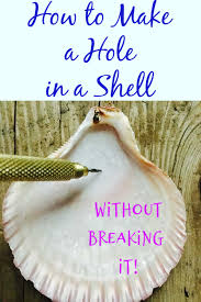 How To Drill A Hole In A Seashell Without Breaking It Shell Crafts Diy Oyster Shell Crafts Shell Crafts