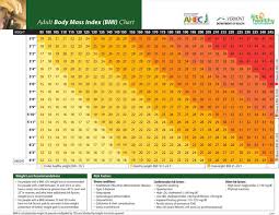 body fat and weight chart lamasa jasonkellyphoto co