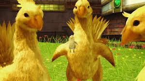 Depending on the feed used, your chocobo will gain a special effect when. Check Out How Final Fantasy S Chocobos Have Changed Through The Years