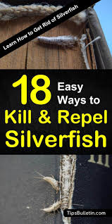 Chances are, if you find yourself desperately searching the internet for articles on how to kill silverfish that you're long past the stage of trying to identify luckily, there are a variety of ways to turn the tide. How To Get Rid Of Silverfish 18 Easy Ways To Kill And Repel Silverfish