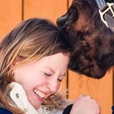 Fundraiser for Peter Gosch by Kendra Bohn : Support Sarah's Fight for  Recovery