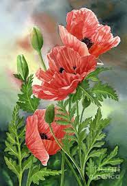 Three Red Orange Poppies With Leaves By Sharon Freeman Poppy Flower Art Orange Poppy Poppies