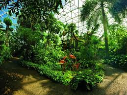 Missouri Botanical Garden Features St Louis Missouri Botanical Garden Naturalistic Garden Botanical Gardens