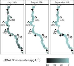 Including environmental covariates clarifies the relationship between  endangered Atlantic salmon (Salmo salar) abundance and environmental DNA