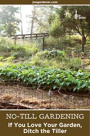 How to till a garden without tiller. How To Make A No Till Garden And Why It S Better For Your Soil No Till Garden Organic Gardening Tips Organic Gardening Soil