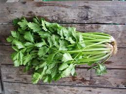 Tips penanaman pokok daun sup/saderi cina begini cara mudah tanam kesum di balkoni hanya guna baldi kacang tanah tanpa racun serangga tapi 10 herba yang rumah myagri com mymyagri 5 menanam bawang merah sendiri bisa pakai. Daun Saderi
