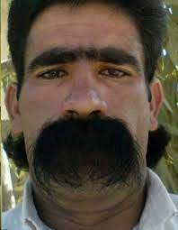 Conheca Os Donos Dos Bigodes Mais Engracados Do Mundo Fotos R7 Humor