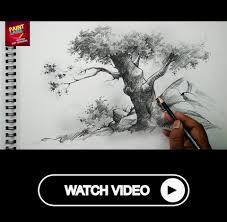 Basic Sketch And Shade A Tree With Pencil Pencil Art Basic Sketching Tree Drawing Drawing Skills