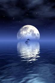 Beautiful View With A Big Moon Abstract Wallpapers Details Beautiful Moon Good Night Moon Moon Pictures