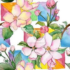 Un bellissima selezione di sfondi floreali per pc desktop, divisa per categoria. Fiore Di Campo Di Fiori Di Mele In Stile Acquerello Nome Completo Carta Da Parati Carte Da Parati Acquaforte Lasciare Germoglio Myloview It