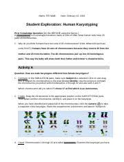 A karyotype is an organized profile of a person's chromosomes. Human Karyotyping Fifi Malik Name Fifi Malik Date Student Exploration Human Karyotyping Prior Knowledge Question Do This Before Using The Gizmo A Course Hero