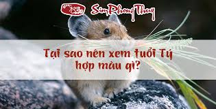 Nữ tuổi tý mua xe hợp màu gì năm tân sửu 2021 là thắc mắc rất nhiều người quan tâm khi mua xe. Nam Ná»¯ Tuá»•i Ty Há»£p Mau Gi Mau Há»£p Tuá»•i Ty Co Y NghÄ©a Ra Sao