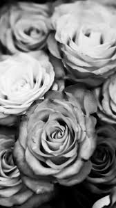 Black And White Iphone Wallpaper Free Download In 2020 Black And White Wallpaper Iphone White Flower Wallpaper White Iphone Background