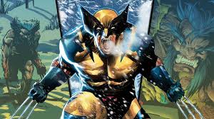 Image result for wolverine
