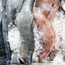 It's an effective method and quite popular with the sports fishermen. How To Store Fish In The Refrigerator
