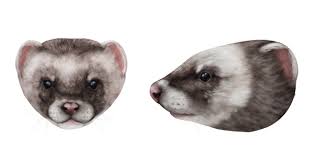 How To Draw Animals Weasels Stoats Minks Polecats And Ferrets Envato Tuts Design Illustration Tutorial Animal Drawings Ferret Animals