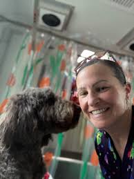 Glam 'It' Up Pet Mobile Grooming -