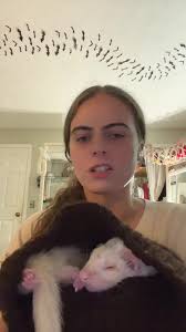 Traveling with Ferrets