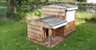 I made this doghouse gazebo for watson our lovely rhodesian ridgeback and. He Built A Doghouse With Secret Chambers That Go Underground This Is So Cool Littlethings Com