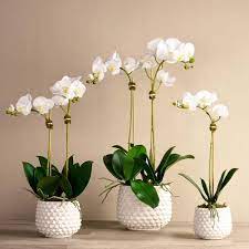 Shop The Finest Artificial Orchids Arrangements Crafted By Real Florists From Bloomr Com Silk Orchids Arrangements Orchid Arrangements Artificial Orchids