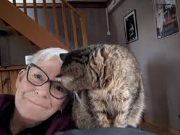 Who can watch my dogs in Torbay from June 11th to 16th?