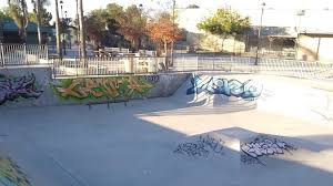 In 1973, his grandmother annice gave him a shark skateboard with steel wheels. Organization Profile