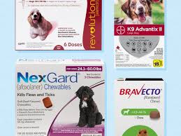 Best Flea And Tick Medicine For Dogs In 2021