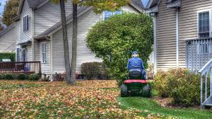 You can leave the leaves on your lawn and still have a beautiful yard in the spring. Why You Should Stop Raking Fall Leaves Stat Howstuffworks