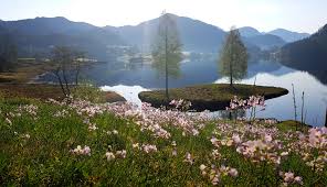 271 likes · 354 talking about this. Masfjorden Venstre