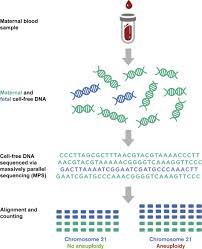 Cell Free Fetal Dna Testing For Prenatal Diagnosis Sciencedirect