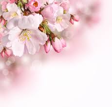 Inspirational Spring Flowers Background In 2020 Roze Bloesem Bloem Achtergrond Bloem Behang