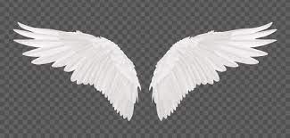 Vector Realistic Angel Wings Isolated On Transparent Background Fotos De Alas De Angel Alas De Angel Png Alas De Angel