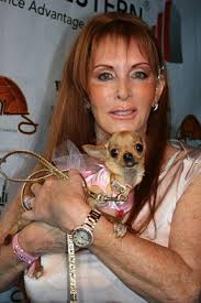 Chihuahua at Center of Fight Over Posner Heiress's Will