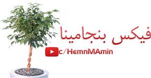 ( انه ( فيكس بنجامينا. Hemn M Amin ÙÙŠÙƒØ³ Ø¨Ù†Ø¬Ø§Ù…ÙŠÙ†Ø§