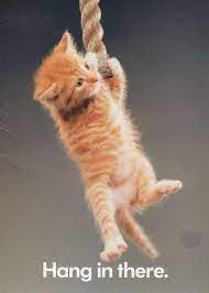 Hang In There 2 Hang In There Baby Know Your Meme