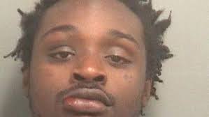 Royal Palm Beach man arrested at MoonFest for punching female officer