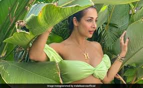 Looking for malaika arora stickers? Malaika Arora Heralds Mango Season With This Gift From Ex Husband Arbaaz Khan