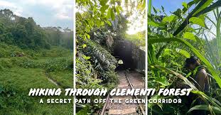 We did not find results for: Hiking Clementi Forest A Secret Route Off The Green Corridor The Travel Intern