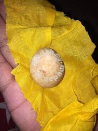 Minyak burung but but ll minyak herba sinergi ll asli hpai original. Geliga Burung But But Hobby Collectibles For Sale In Kuantan Pahang Mudah My