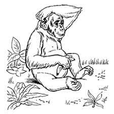 Laughing chimpanzee coloring page to color, print and download for free along with bunch of favorite chimpanzee coloring page for kids. 10 Free Printable Lovely Chimpanzee Coloring Pages Online