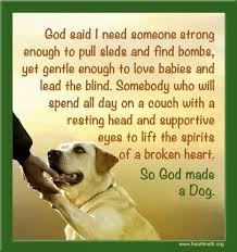 Pin By Gwen Hoblet On My Style Pinterest Sayings Broken Heart Dogs