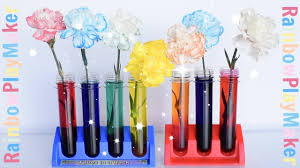 Guys, let's today we will learn colors in english. Carnations Rainbow Color Changing Diy Science Experiment Simple Fun Youtube