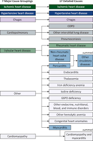 In some people with diphtheria, a toxin (poison) produced by c. The Global Burden Of Myocarditis Part 1 A Systematic Literature Review For The Global Burden Of Diseases Injuries And Risk Factors 2010 Study Sciencedirect