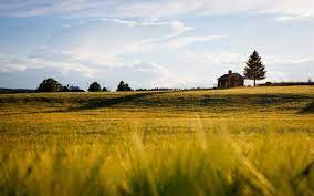 What is the definition for land clearing? How To Clear Land For Farming Farm Animals