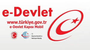 Tarayıcı uygulaması (internet explorer, firefox, safari ve benzeri uygulamaların) şifre kaydetme opsiyonlarını kapalı tutunuz. How To Obtain An Egovernment Password How Can I Change My Egovernment Password Is Egovernment Password Paid