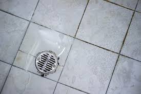 A product such as vermox will treat this issue. Small Black Worms In The Shower What Are They And How To Get Rid Of Them The Clever Homeowner